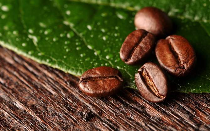 El aumento de los precios del café revive las montañas del este de Cuba