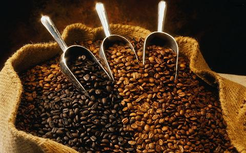 Cuba planea revivir la industria del café