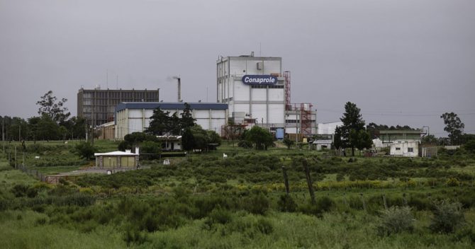 Empresa láctea de Uruguay pretende instalar fábrica en Cuba