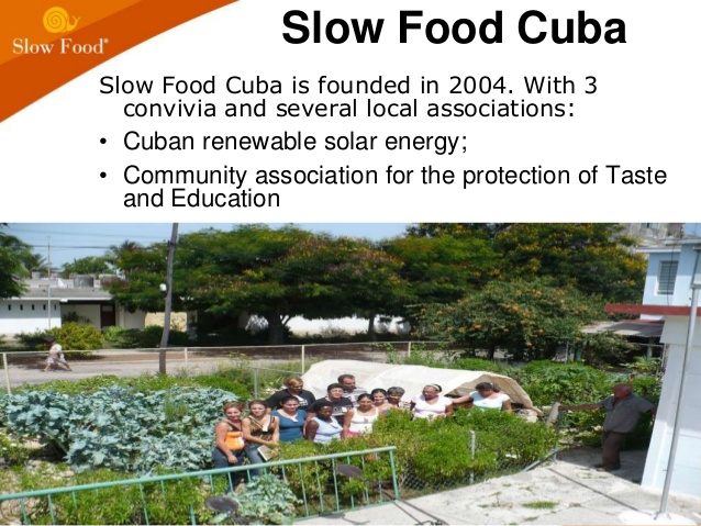 linking-food-traditions-and-education-the-experience-of-slow-food-and-terra-madre-network-15-638
