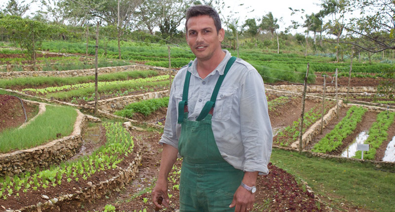  What Cuba Loses Because of its Incompetent Farm Bureaucracy