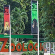 El Jardín Zoológico de La Habana celebra su 80 aniversario.