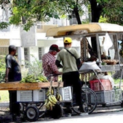 Gobierno de La Habana fija precios máximos de venta de productos agropecuarios