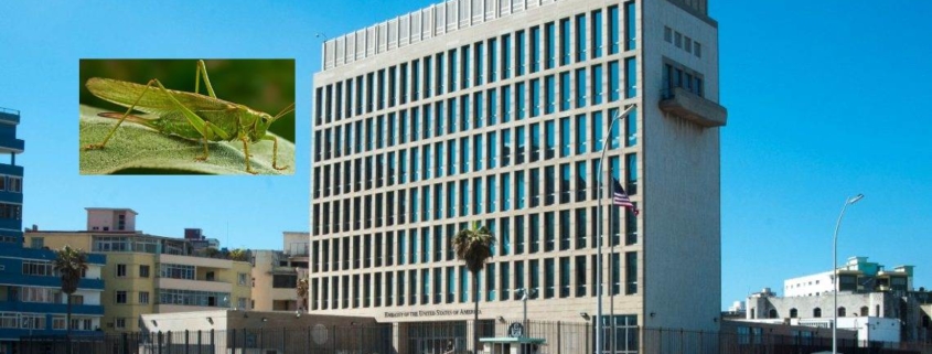 Biden orders review of Havana embassy staff, remittances