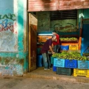 Cuba counted 580,828 self-employed workers at the end of 2018