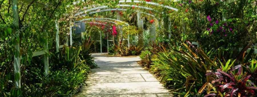 Cuba y EEUU cooperarán en la conservación de la flora y jardines botánicos
