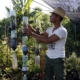 Water Collection and other Innovations on a Small Havana Farm