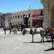 El maltrato a los caballos que tiran de los turismos en La Habana continúa