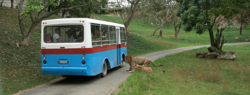 Zoológico Nacional de Cuba reabrió sus puertas pero no ofertará los "safaris"