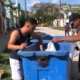 Rescatan a tres gaticos vivos que fueron arrojados a la basura en Santos Suárez, en La Habana