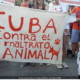 Cancelan marcha animalista en La Habana por temor al coronavirus