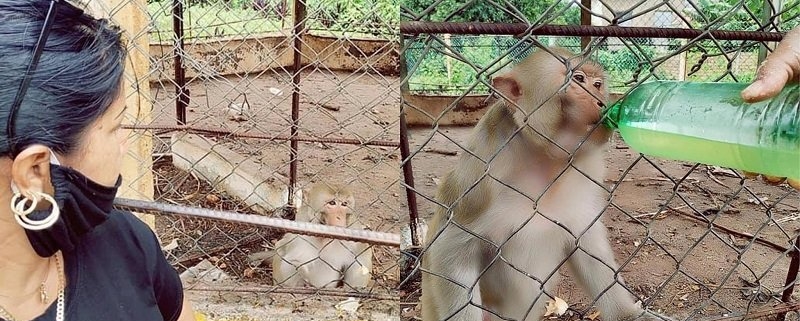 Cubana rompe a llorar en el zoo de Trinidad