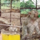 Cubana rompe a llorar en el zoo de Trinidad