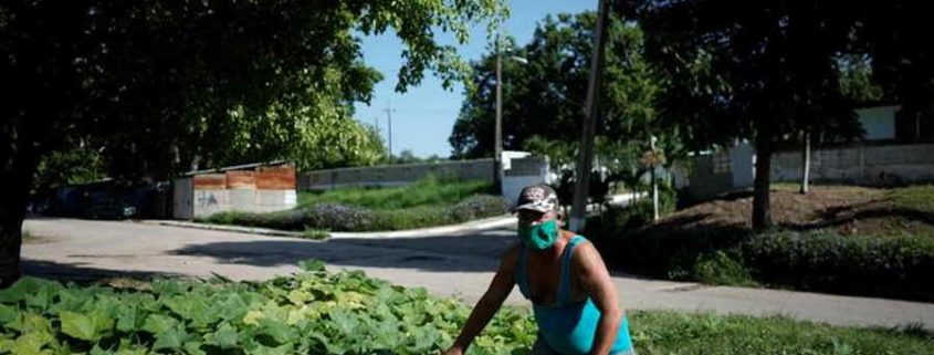 Cuba calls on citizens to grow more of their own food