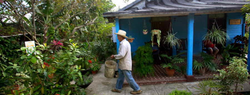 Urban gardening takes deeper root in Cuba amid pandemic