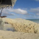 Sin detenerse la rehabilitación de las playas en Cuba