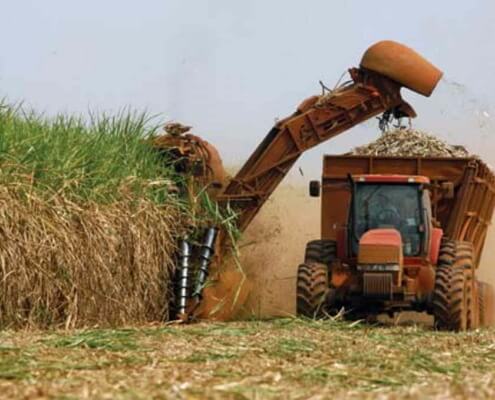 Cuba's sugar harvest worst in over century, another hit to ailing economy