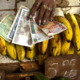 Cuban food crisis aggravate by soaring international prices