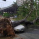 Reportan fuertes vientos e intensas lluvias en La Habana