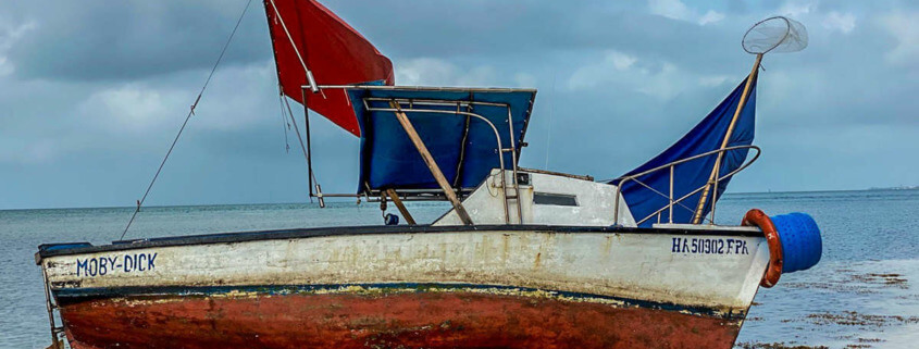DHS warns Florida organizers not to launch flotilla to Cuba