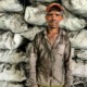 Producir carbón vegetal a la antigua, en el corazón de Cuba
