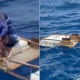 Balsero cubano rescatada cerca de Miami después de 10 días a la deriva