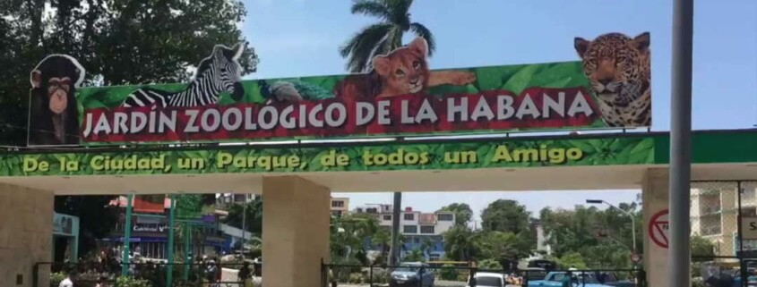 El brote de influenza aviar en el Zoológico de La Habana bajo control