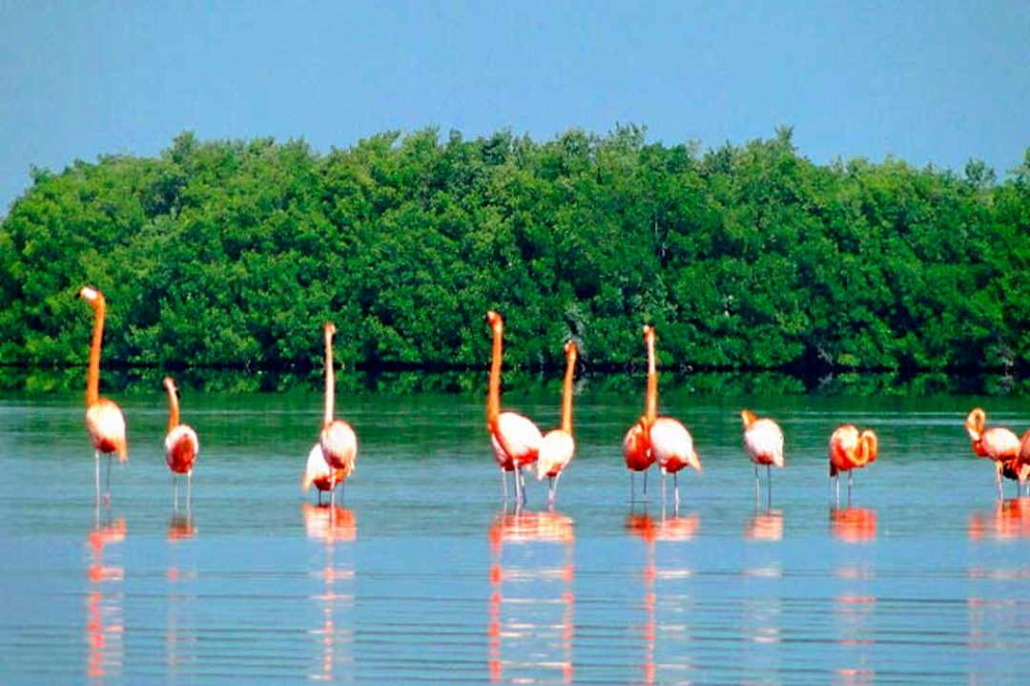 Travelers seek information on Ramsar sites in Cuba