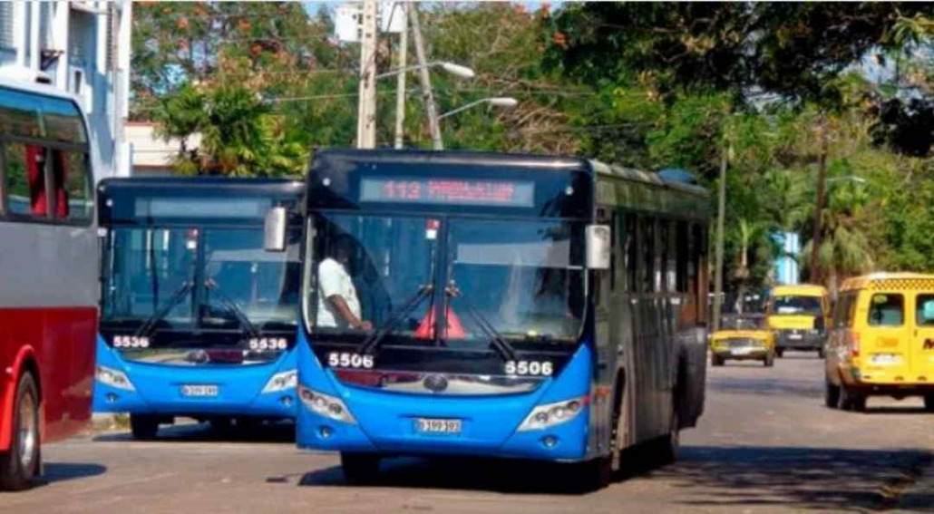 Ómnibus importados reforzarán transporte público en La Habana