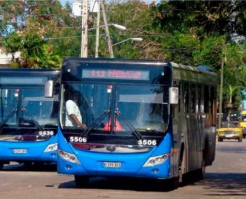 Ómnibus importados reforzarán transporte público en La Habana
