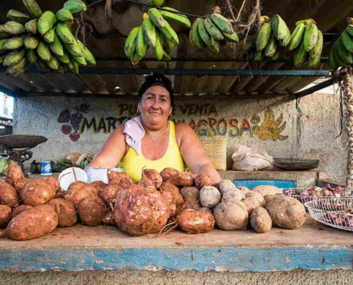 Gobierno cubano aplicará impuesto del 10% a vendedores minoristas de productos agropecuarios