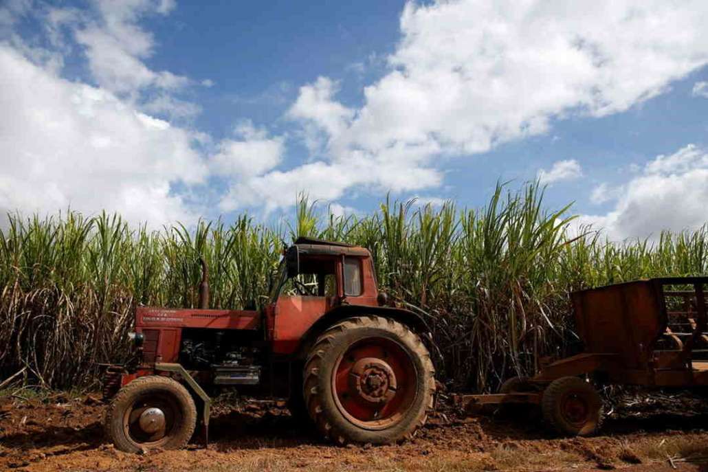  Comment l'industrie sucrière de Cuba a été réduite en poussière