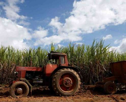Cuba’s Worst Sugar Harvest