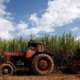 La pire récolte de sucre de Cuba depuis plus d'un siècle, un nouveau coup dur pour une économie en difficulté
