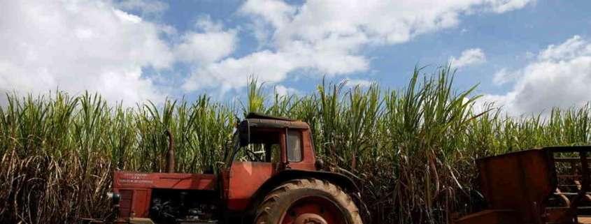 Cuba’s Worst Sugar Harvest