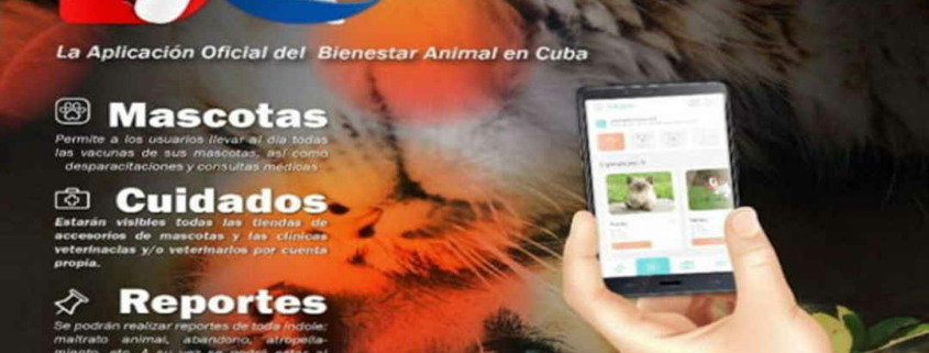 Aplicación móvil promueve labor de bienestar animal en Cuba