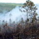 Combaten en Pinar del Río incendio forestal de grandes proporciones