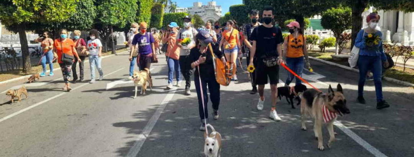 Decenas de animalistas celebran el día del perro en el Cementerio de Colón