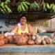 What Do Vegans and Vegetarians Eat in Cuba?