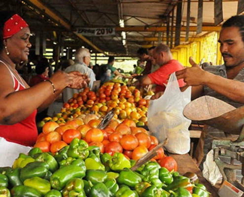 Cuba´s new Law on Food Sovereignty published in the Official Gazette