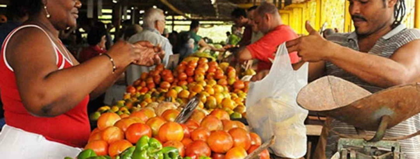 Cuba´s new Law on Food Sovereignty published in the Official Gazette