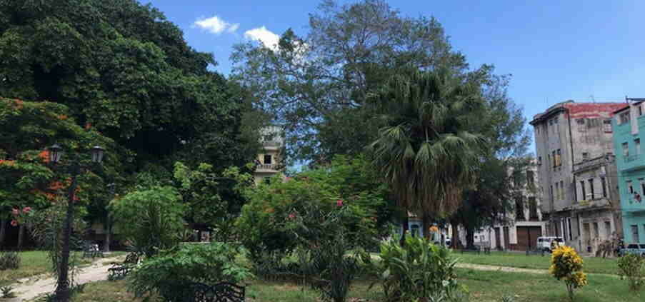 A Havana Park Named After an Unknown Young Man