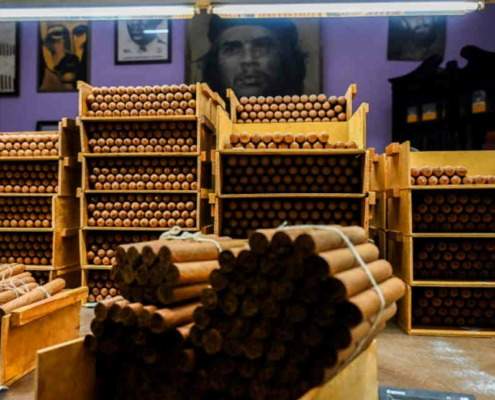 La fabrique des cigares de Castro perpétue la tradition d'excellence