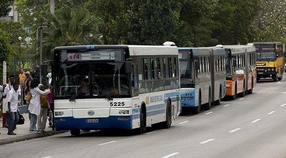Lanzan la APK de ómnibus urbanos de La Habana
