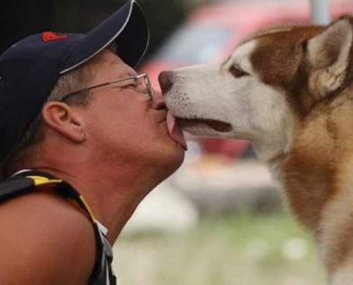 La Habana acogerá Expo Canina Internacional de todas las razas
