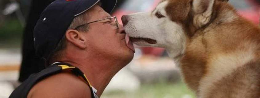 La Habana acogerá Expo Canina Internacional de todas las razas