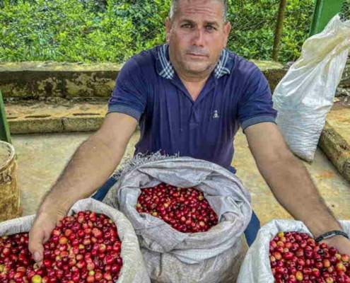Café cubain haut de gamme pour relancer un secteur en berne