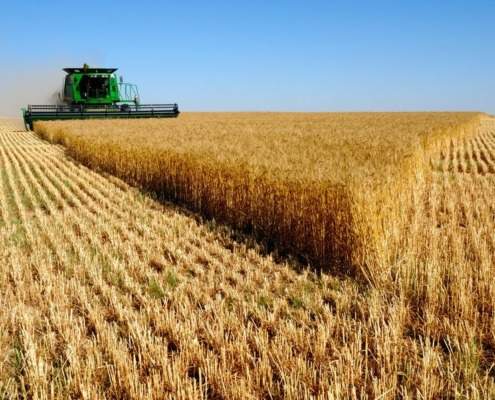 La Russie fait don de 25 000 tonnes de blé à Cuba