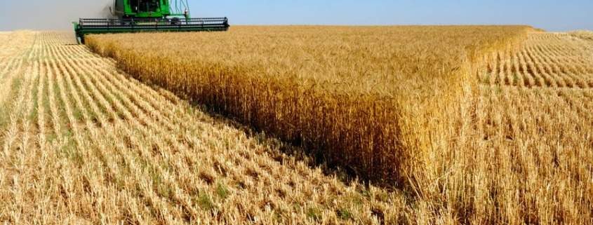La Russie fait don de 25 000 tonnes de blé à Cuba