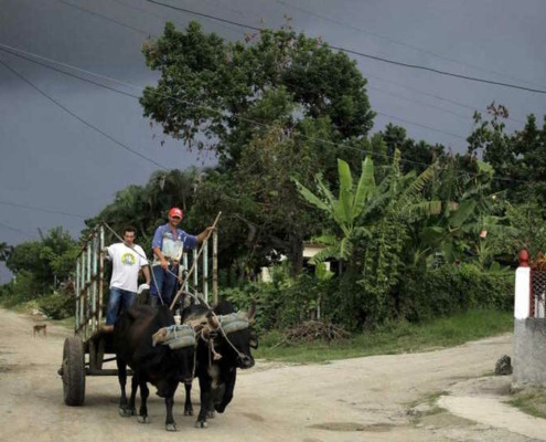 Cuba’s Farmers Doesn’t Need Foreign Investment to Thrive